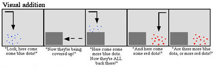 Bild: PNAS
