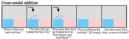 Bild: PNAS