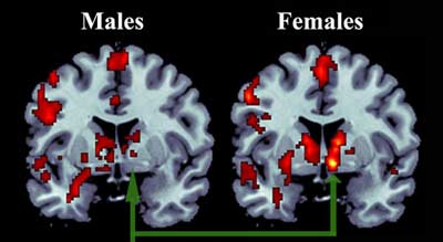 Bild: PNAS