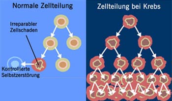 Bild: Max-Planck-Institut für Informatik