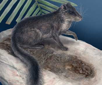 Bild: Mark A. Klinger / Science