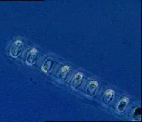 Bild: NASA