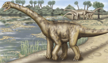 Bild: AAAS/Science; Illustration: Carin L. Cain