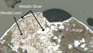 Bild: Alyson Thibodeau / PNAS