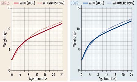 Bild: New Scientist