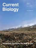 Bild: Current Biology
