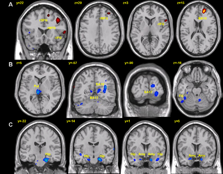 Bild: Science