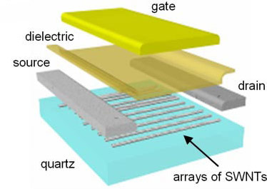 Bild: PNAS