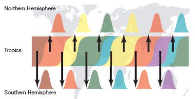 Bild: Nature/Andrew Rambaut et al.