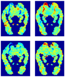 Bild: Science/AAAS