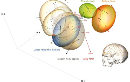 Bild: PNAS