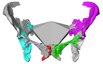 Bild: Tim Weaver, University of California