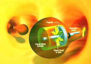 Nano-Motor mit Bakterienbetriebenem Propellersystem
