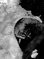 National Snow and Ice Data Center